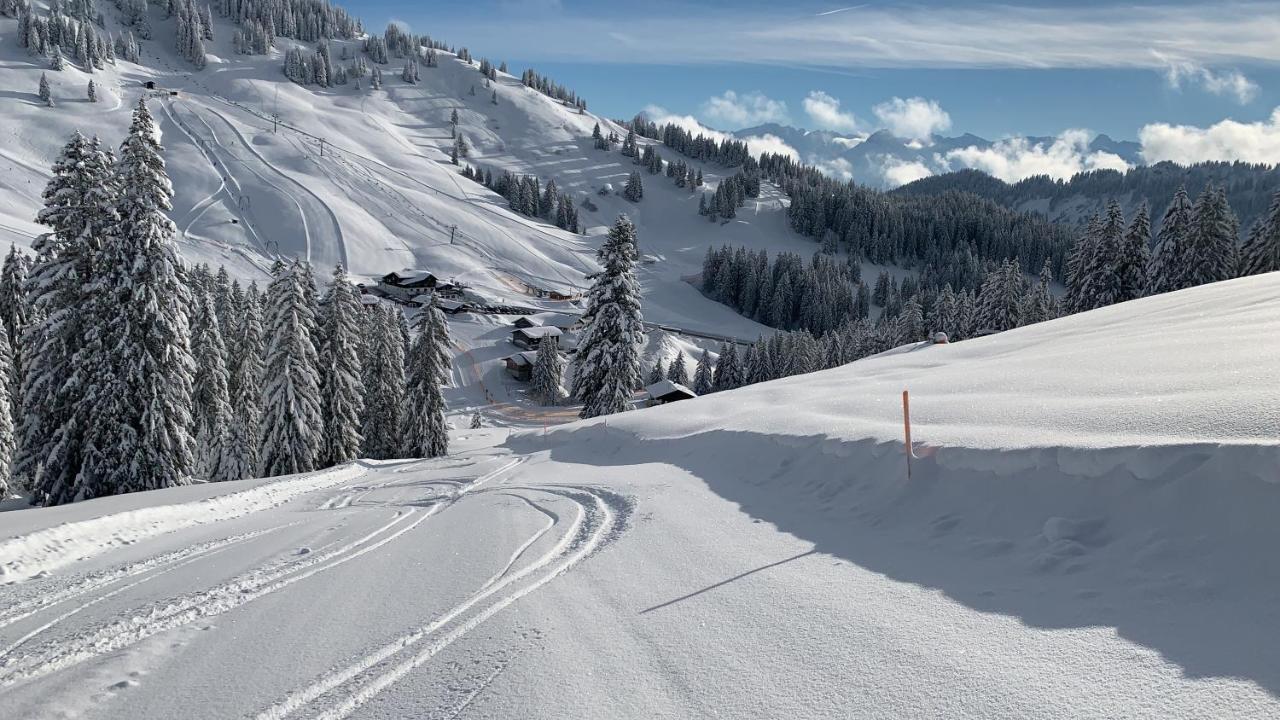 Ferienwohnung Am Goldbach Pool Sauna Obermaiselstein Zewnętrze zdjęcie